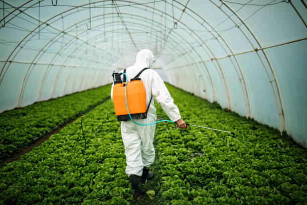 Best Affordable Pest Control Services  in South Fulton, TN