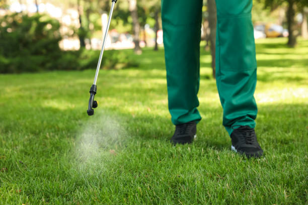 Best Bed Bug Extermination  in South Fulton, TN